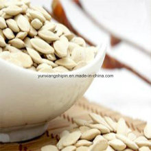 Chinese Raw Snow White Pumpkin Seeds